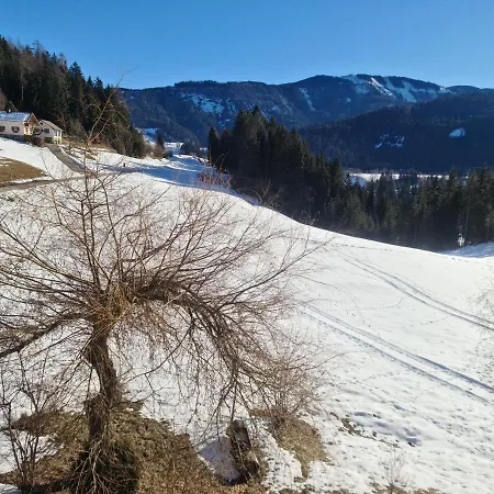Schoene Ferienwohnung Im Naturpark Grebenzen Sankt Lambrecht Esterno foto