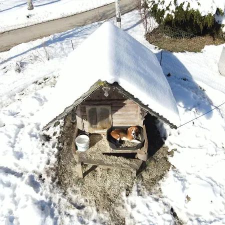 Schoene Ferienwohnung Im Naturpark Grebenzen Sankt Lambrecht Esterno foto