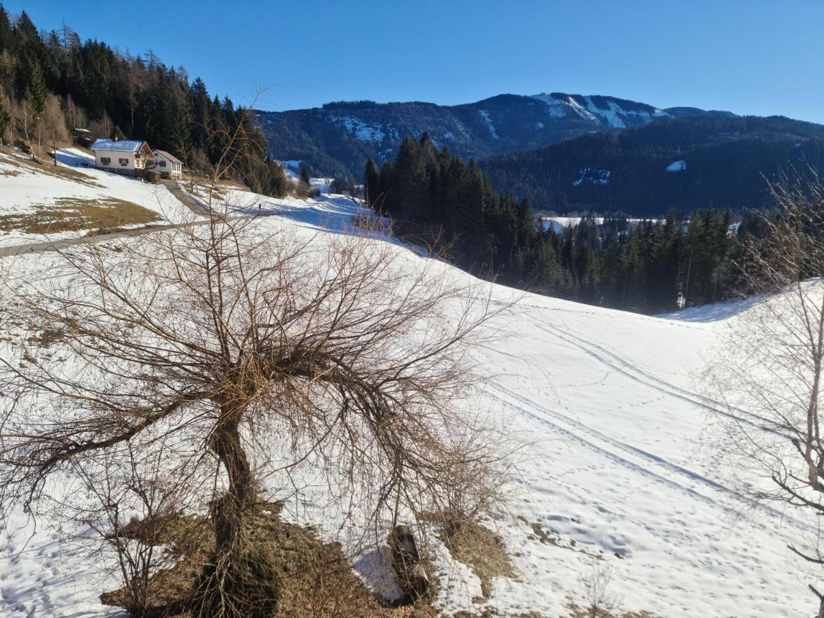 Schoene Im Naturpark Grebenzen Apartment