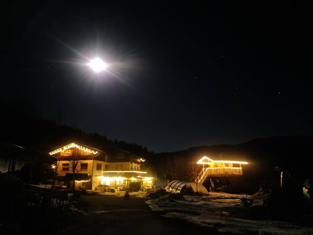 Schoene Im Naturpark Grebenzen Appartement *