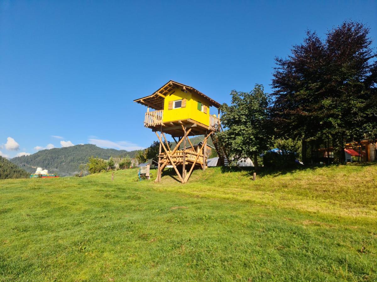 Apartment Schoene Im Naturpark Grebenzen