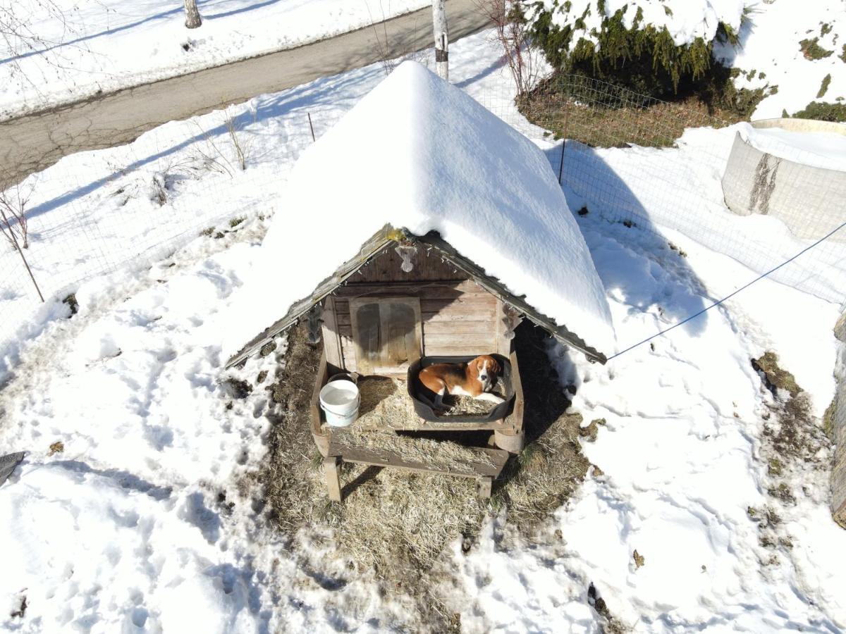 Schoene Im Naturpark Grebenzen * Sankt Lambrecht